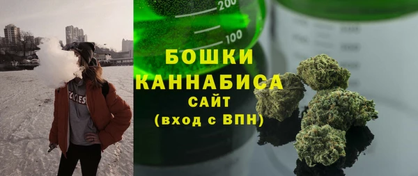 дурь Новодвинск