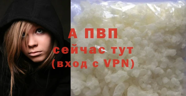 таблы Новозыбков