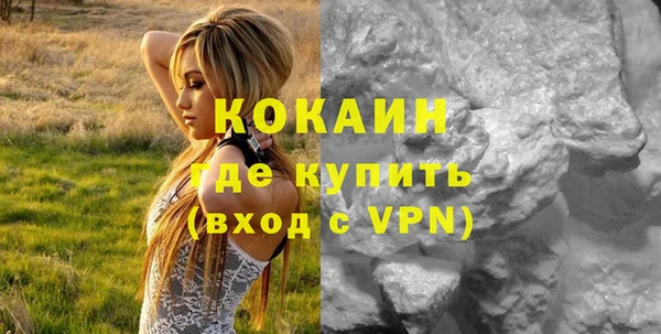дурь Новодвинск