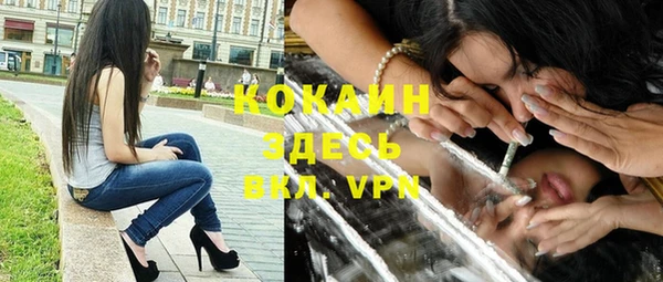 таблы Новозыбков