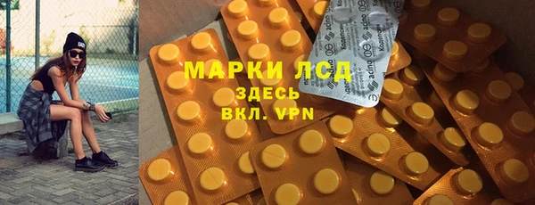 таблы Новозыбков