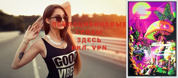 таблы Новозыбков