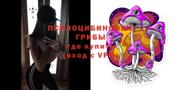 дурь Новодвинск