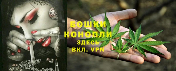таблы Новозыбков