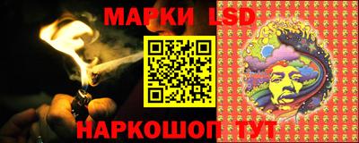 apvp Гатчина