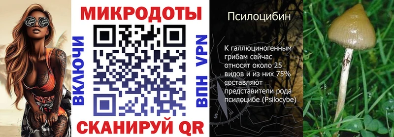МЕГА зеркало Скопин Галлюциногенные грибы Psilocybine cubensis