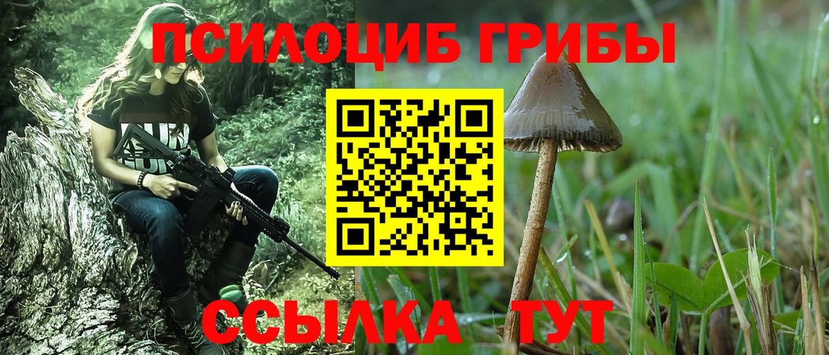 Псилоцибиновые грибы MAGIC MUSHROOMS  Вход с VPN  закладки  Скопин 